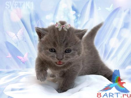 PSD �������� - ����� 3