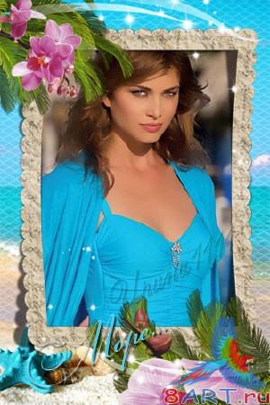   Photoshop - 
