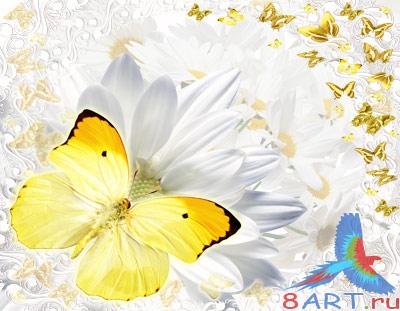 ������������� ������ (�.24)