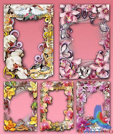 5 ����� �� �������