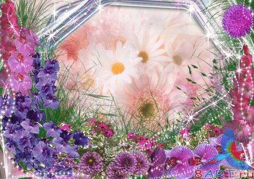 ������������� ��������� "�������"