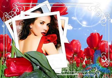 "�������� ���������"