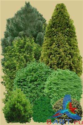 PSD ������� ������� �.1