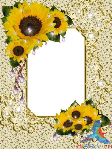 ������� � ����� ���� �������� - �� ������������