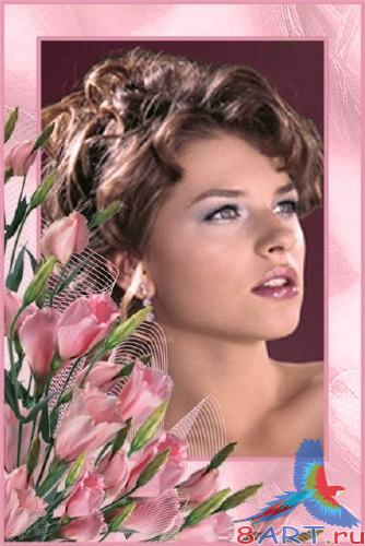 ����� �� �������� - ������� �����