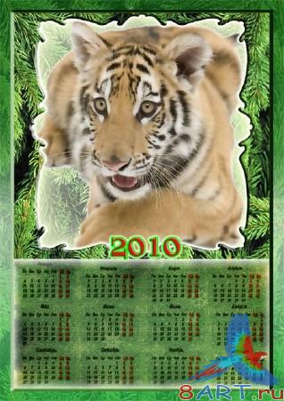 ����� - ����� �������