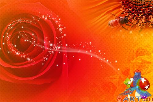 PSD �������� - ��������� ���: ����������� ����