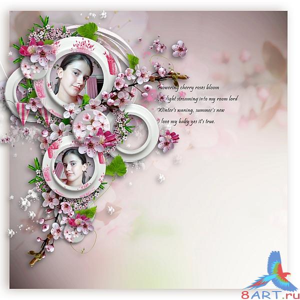 �����-����� Flowering cherries