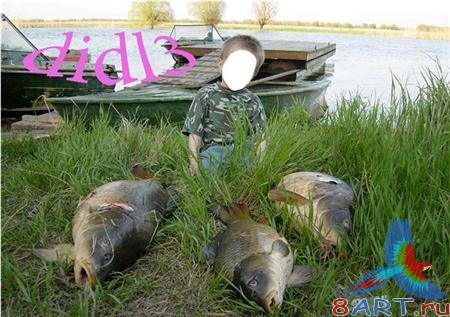 ������ ���� �������� - �������