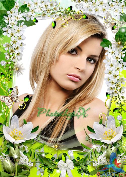 ��������� ����� � ����� ���� Photoshop � ����� ��������