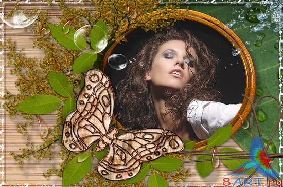 ����� ����� ���� - ��������