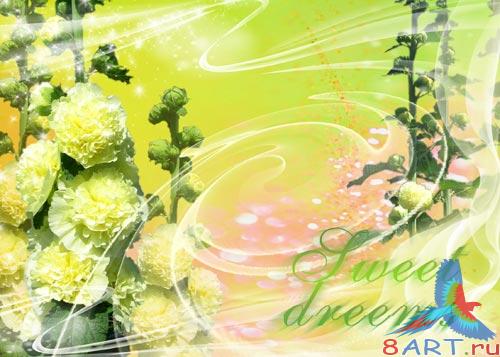 PSD ��������� - ��������� �����