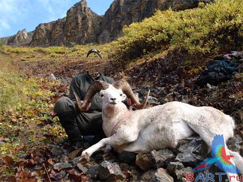 ������ � ����� Photoshop-� "������� 2"