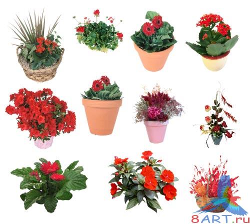 PSD ������� - ����� �� �������