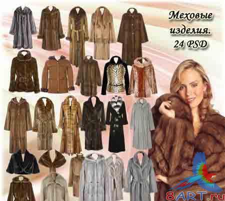 ������� ����� � ������ ���� ��������