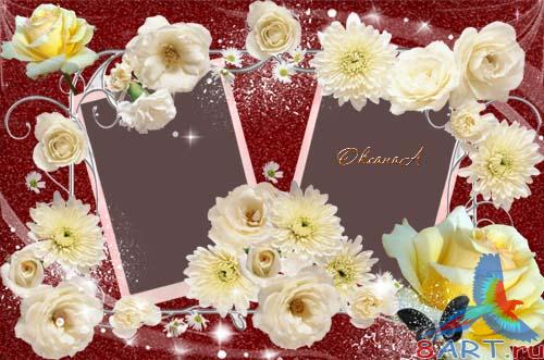 ����� ����� �������  - ����� �����