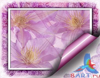 ������������� �������� (�.17)