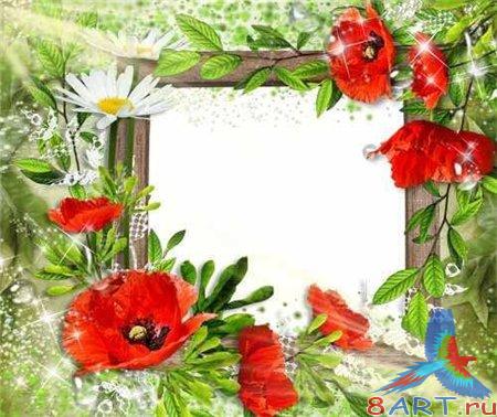 ��������� - Charming Poppies