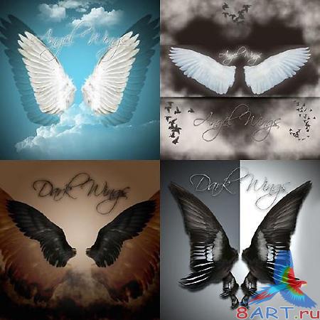 ������ � �������� � Angel and Dark Wings