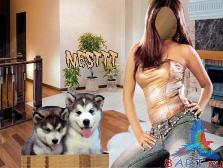 ������ � ����� Photoshop - ������ ������