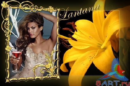 ������� ���� ���������� ����������� �����