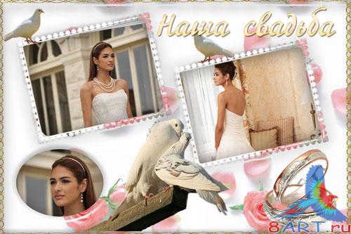 ��������� - ���� �������