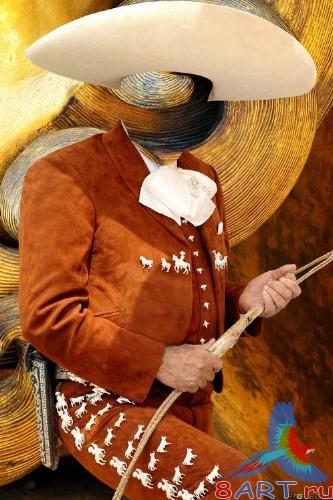 ������ �� �������-������������ ������� ���� 5