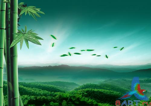 PSD �������� - ����������� ���