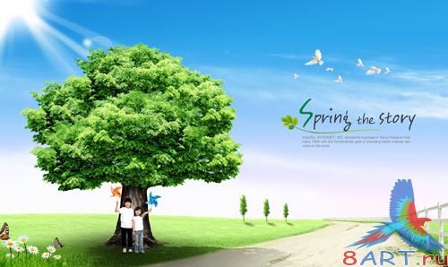 Sources - A large green tree