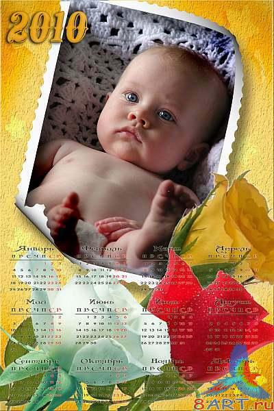 ��������� � 2010 ��� - ��� ����