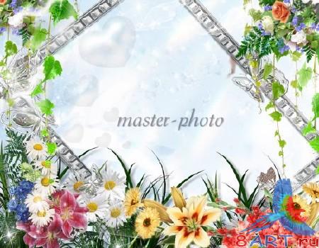 ����� � ��������� �������� �������� ����������