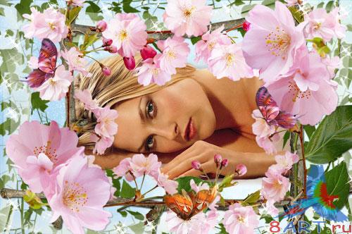 Рамочка в интересах фото - Весенний каприз Рамочка в интересах фото - Весенний каприз