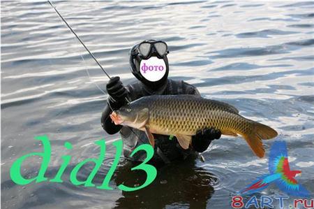 ������ � ������ ���� �������� - ��������� �������