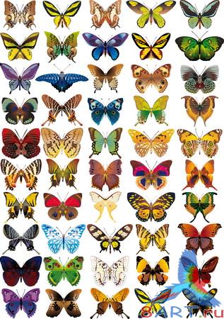 ������� �������� � ����� ����������� �� Photoshop � ������� / butterflies