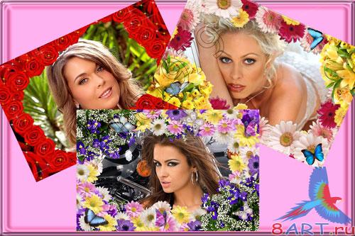 ����� � ������� - ���������