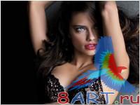 Wallpapers - ���� � �������� ���� � 63