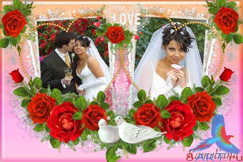 ��������� ����� � Kameliana - ����� �1 ������� ����