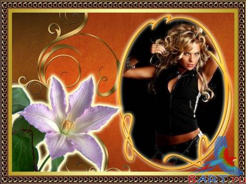 ��������� - ������� �����