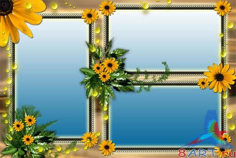 ����� � ��������-������ ����������