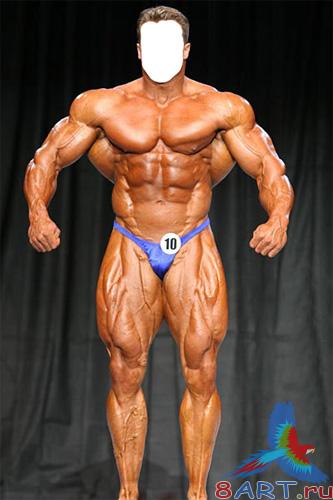 Мужской обычай – в соревнованиях за бодибилдингу Мужской обычай – для соревнованиях за бодибилдингу