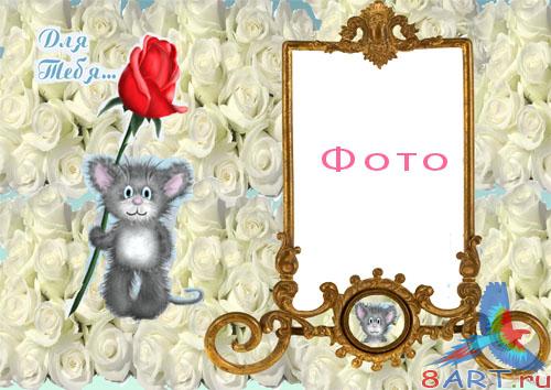 ����� � ����� �������� � �� ��������