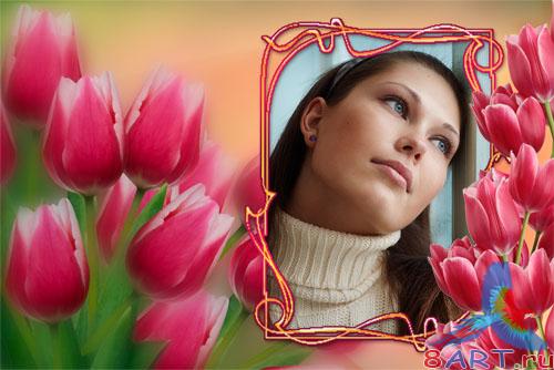 ��������� ����� � ���� - �������� ���������