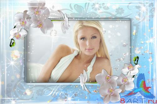 ������� ���� ����  -  ����� ������