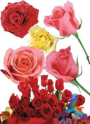 ����� ��� � ������� PSD