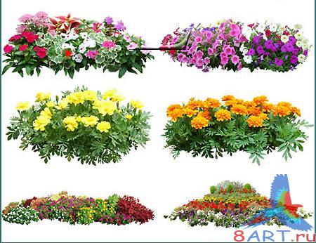 PSD ����� ������ ������� ��������