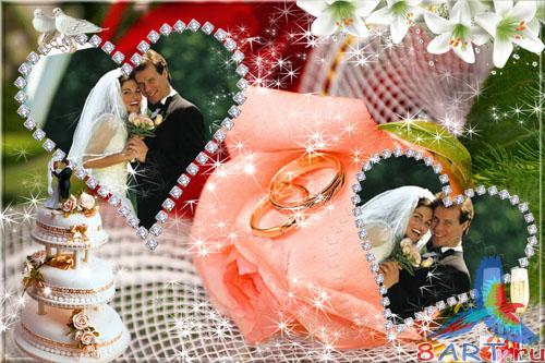 ��������� "�������"