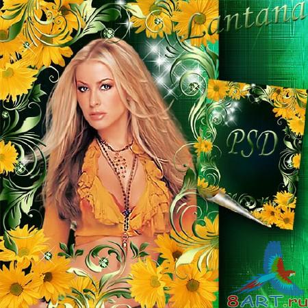 ����� � ����� ���� ���� - ������ �������