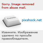 DVD-������� ����� PSD �������