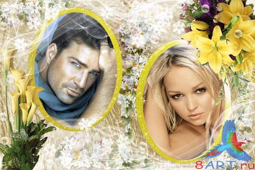 ����� ���� ������� - ��������� ��������