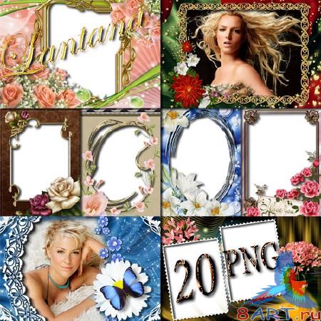 ����� � ������ ���� �������� - ��������� ������